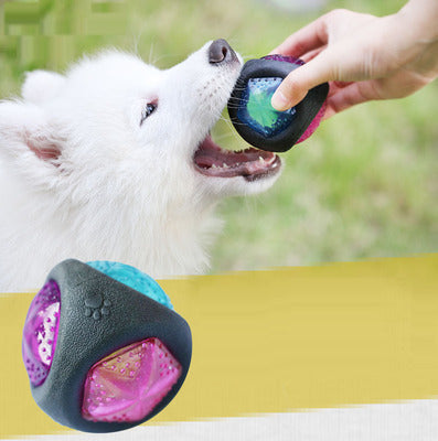 NeonGnaw Dog toy